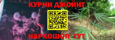 индика Нягань