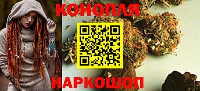 тгк Обь