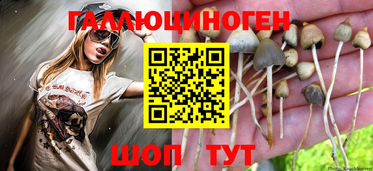 Псилоцибиновые грибы Magic Shrooms  Псилоцибиновые грибы Magic Shrooms  Вход с VPN  Уварово 